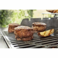 Weber Spirit EPX-315 GBS Negra -Weber Tienda de ventas 9