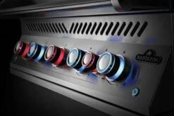 Napoleon Serie 700 38 RB Encastrar BIG38RBPSS -Weber Tienda de ventas BIG38RB Built In Details Knobs KnobsLit Burner 1