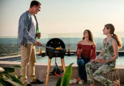 Cadac Barbacoa Citi Chef 40 FS Gris Oscuro -Weber Tienda de ventas Barbacoa Citi Chef 40 FS Gris Oscuro 8