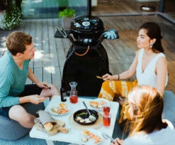 Outdoorchef Barbacoa Minichef Con Carro P-420 G -Weber Tienda de ventas Barbacoa Minichef con Carro P 420 G 7