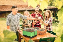 Barbacoa Portatil Sin Humo Teide Verde -Weber Tienda de ventas Barbacoa Portatil Sin Humo Teide Verde 11