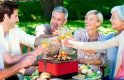 Barbacoa Portatil Sin Humo Vesubio Gris -Weber Tienda de ventas Barbacoa Portatil Sin Humo Vesubio Gris 16