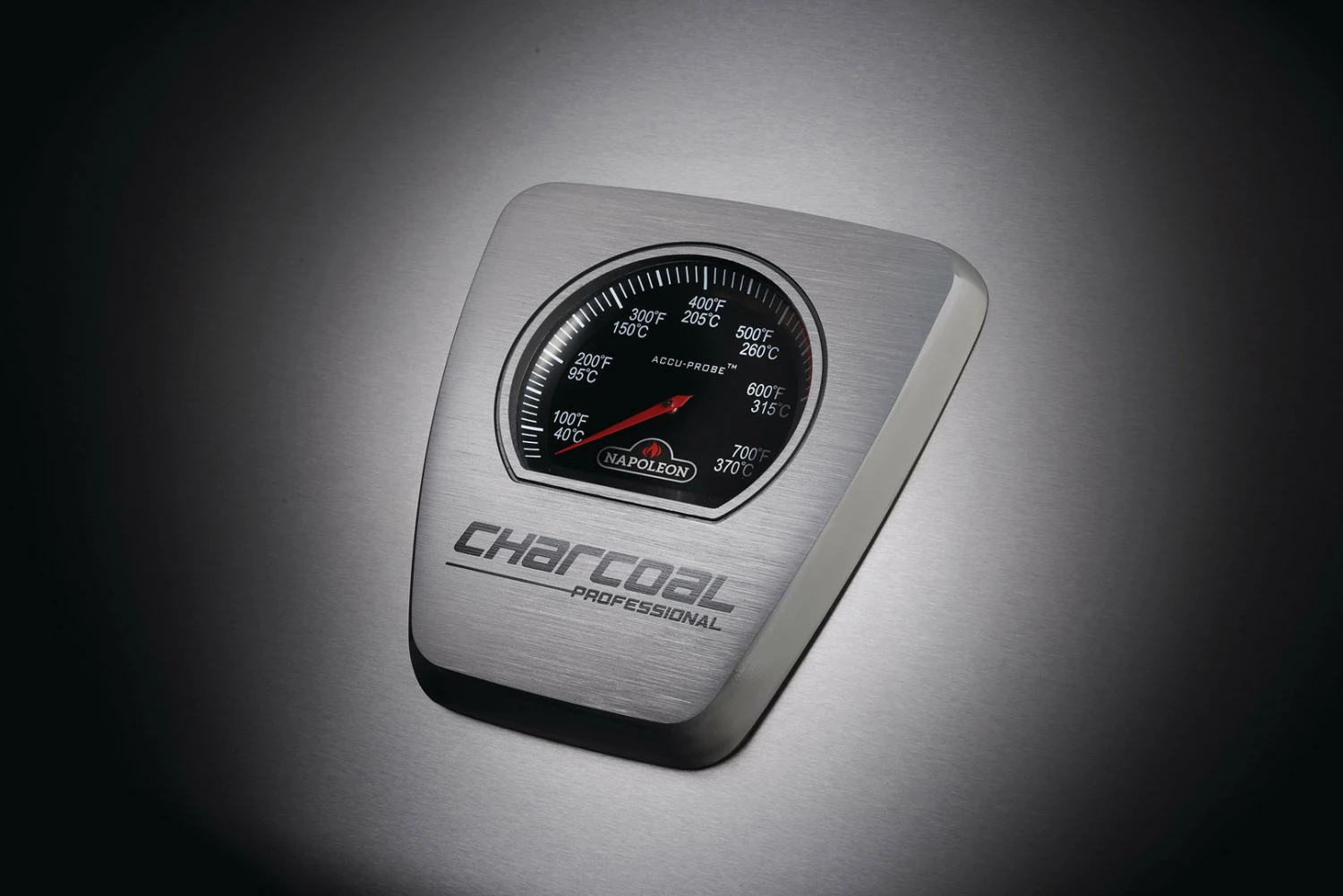 Barbacoa De Carbón Profesional Napoleon PRO605CSS 5 Barbacoa De Carbón Profesional Napoleon PRO605CSS - Imagen 5