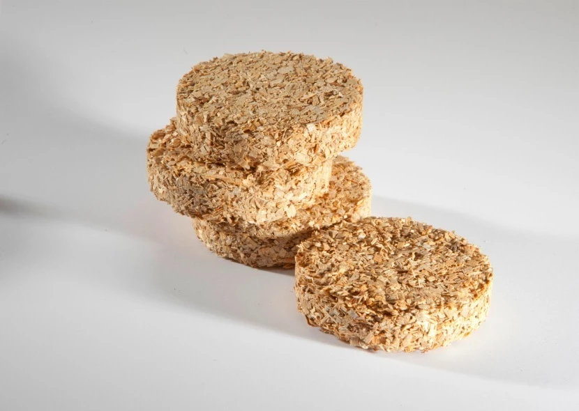 Bisquettes Bradley 48 Unidades Sabor Arce 2 Bisquettes Bradley 48 Unidades Sabor Arce - Imagen 2