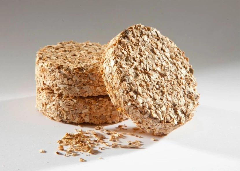 Bisquettes Bradley 48 Unidades Sabor Manzano 2 Bisquettes Bradley 48 Unidades Sabor Manzano - Imagen 2