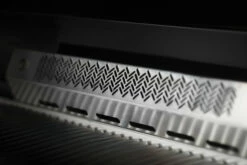 Napoleon Serie 700 38 RB Encastrar BIG38RBPSS -Weber Tienda de ventas Built In Details BackBurner BurnerOff 1