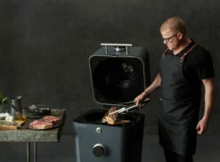 Kamado 4K Everdure -Weber Tienda de ventas Kamado 4K Everdure 15