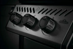 Napoleon Freestyle 365 Con Quemador Lateral -Weber Tienda de ventas Napoleon Freestyle 365 con Quemador Lateral 7