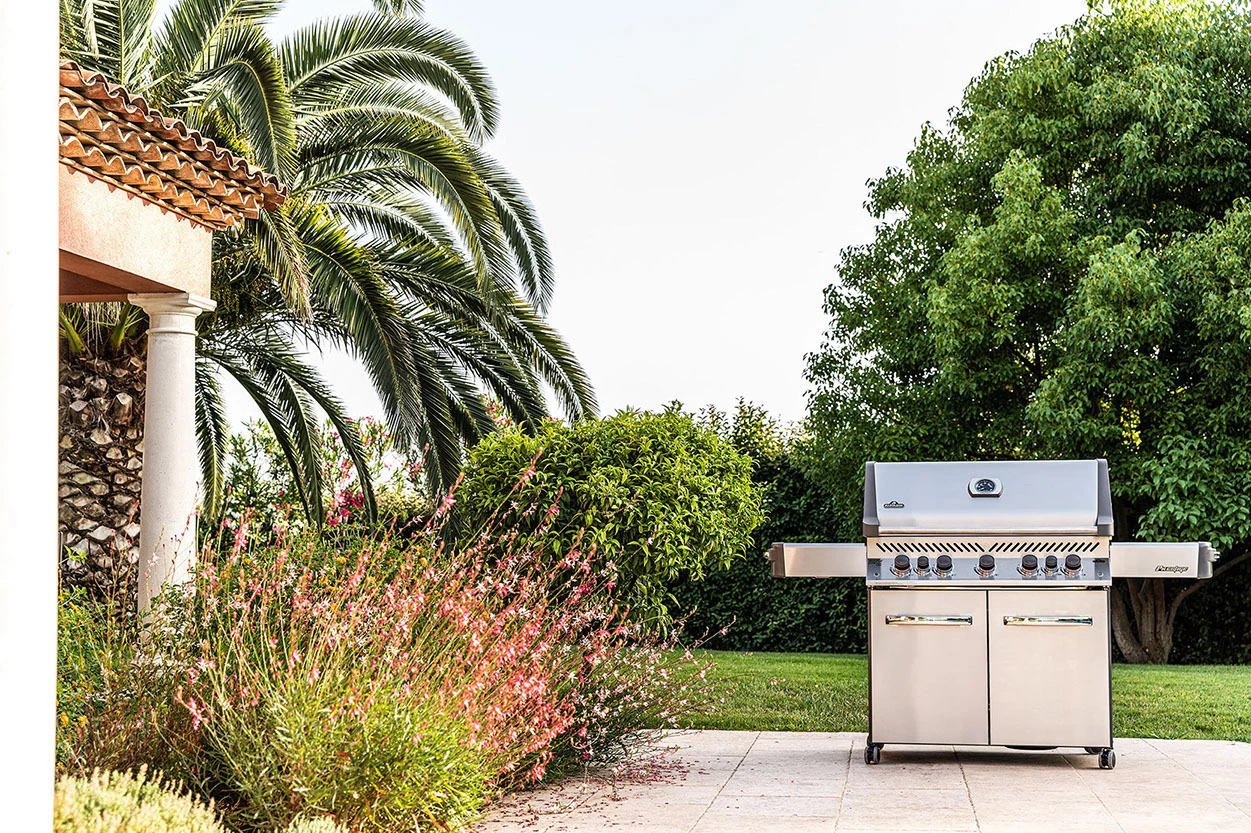 Napoleon Prestige 665 P665RSIBPSS Acero Inoxidable 15 Napoleon Prestige 665 P665RSIBPSS Acero Inoxidable - Imagen 15