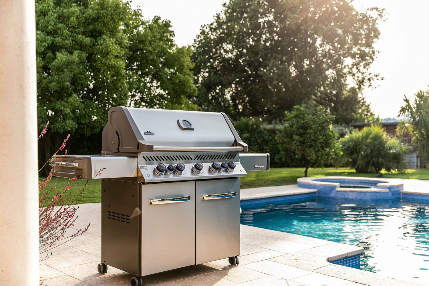 Napoleon Prestige 665 P665RSIBPSS Acero Inoxidable 16 Napoleon Prestige 665 P665RSIBPSS Acero Inoxidable - Imagen 16