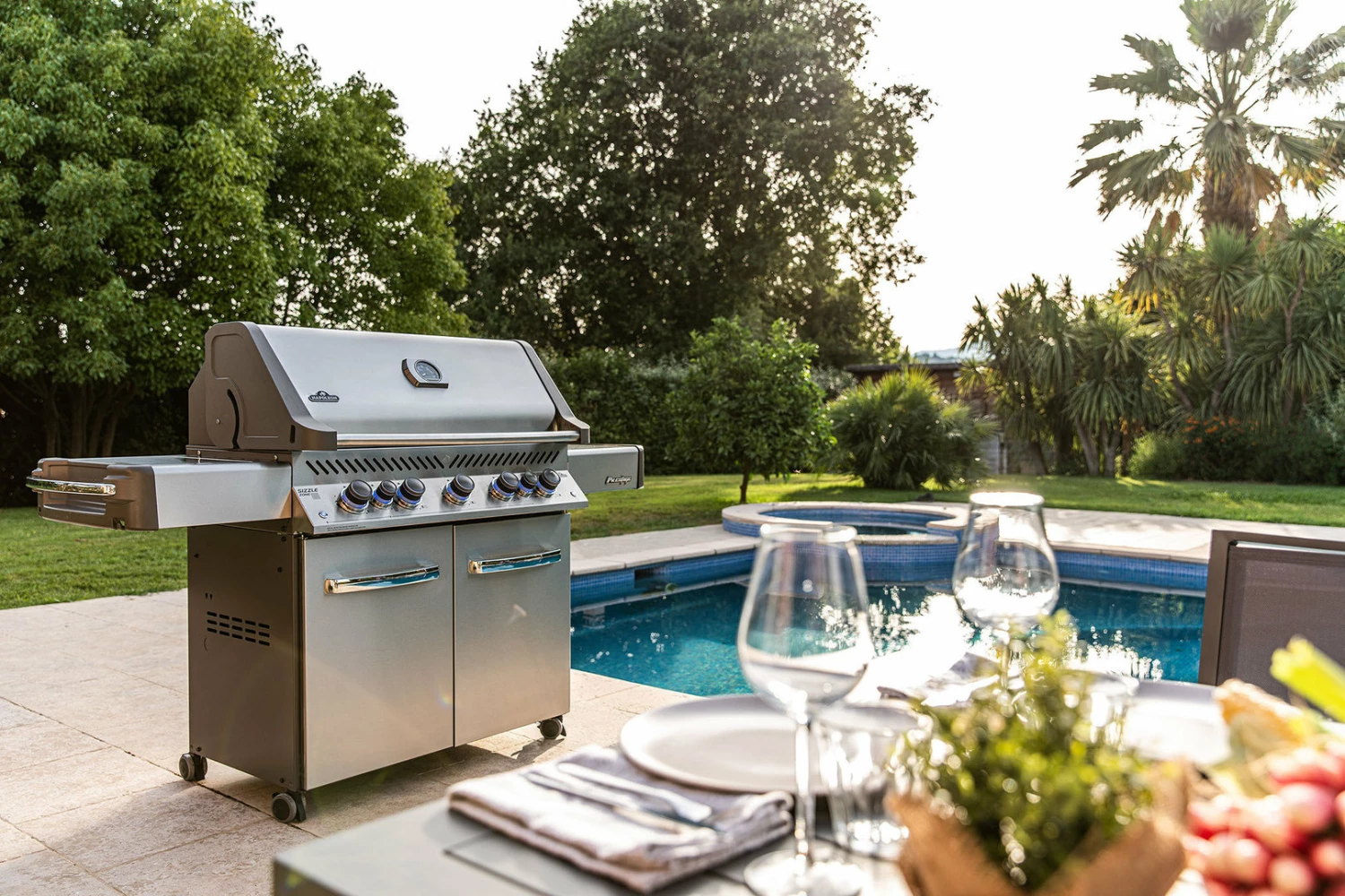 Napoleon Prestige 665 P665RSIBPSS Acero Inoxidable 18 Napoleon Prestige 665 P665RSIBPSS Acero Inoxidable - Imagen 18