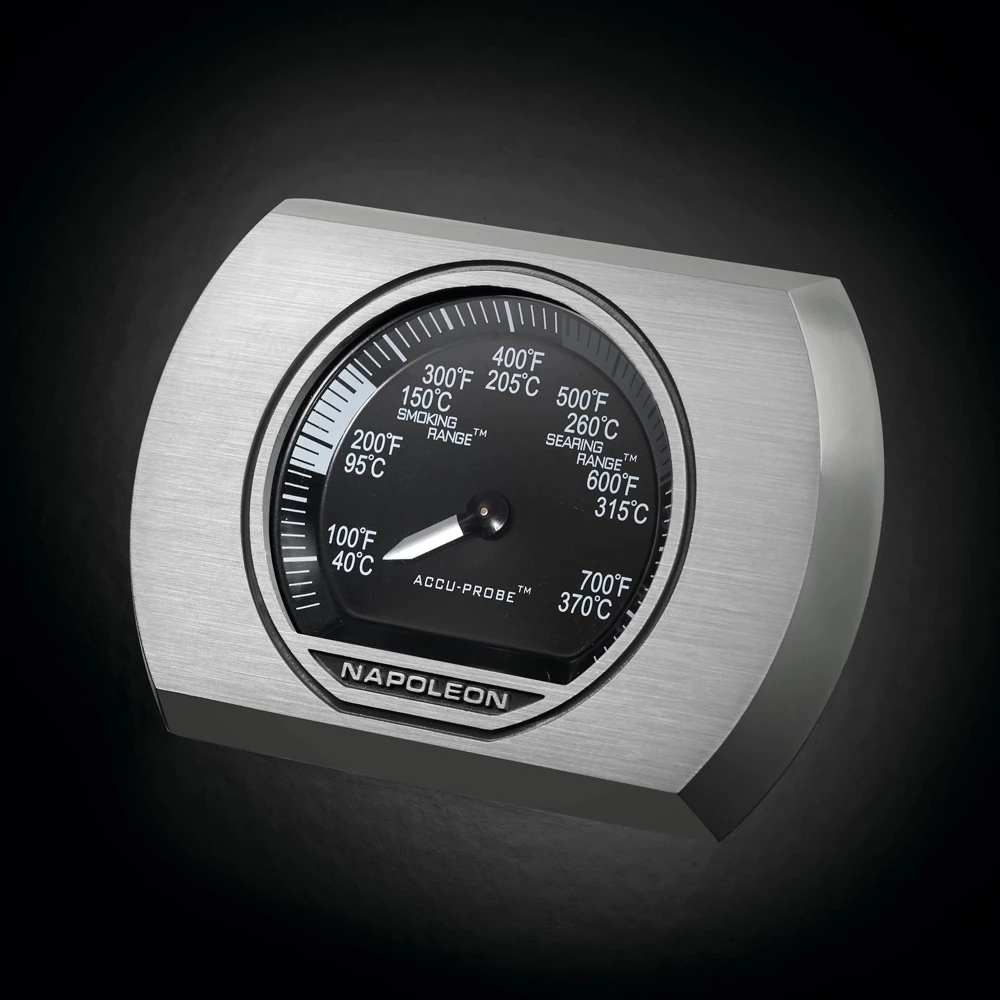 Napoleon Rogue SE 525 Negra Quemador Lateral Y Trasero - Imagen 11