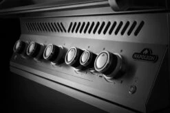 Napoleon Serie 700 44 RB Encastrar BIG44RBPSS 27 Napoleon Serie 700 44 RB Encastrar BIG44RBPSS -Weber Tienda de ventas Napoleon Serie 700 44 RB Encastrar BIG44RBPSS9