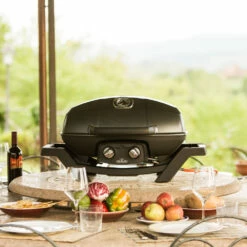 Napoleon TravelQ Pro 285 Gas -Weber Tienda de ventas Napoleon TravelQ Pro 285 Gas 11