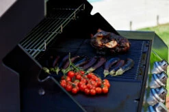 Signature S2000 5B -Weber Tienda de ventas Signature S2000 5B 10