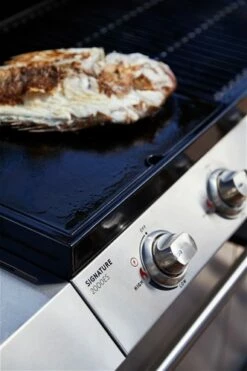 Signature S2000 5B -Weber Tienda de ventas Signature S2000 5B 9