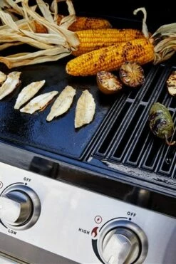 Signature S2000 C 4B -Weber Tienda de ventas Signature S2000 C 4B A17