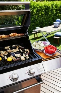 Signature S2000 C 5B -Weber Tienda de ventas Signature S2000 C 5B 10