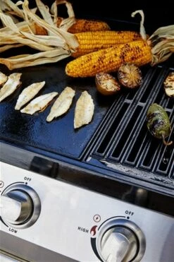 Signature S2000 C 5B -Weber Tienda de ventas Signature S2000 C 5B 14