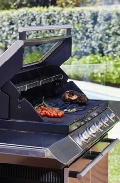 Signature S2000 C 5B -Weber Tienda de ventas Signature S2000 C 5B 15