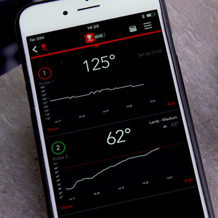 Termómetro Bluetooth IGrill 2 Weber 4 Termómetro Bluetooth IGrill 2 Weber - Imagen 4