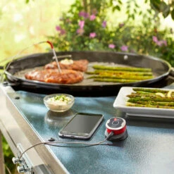 Termómetro Bluetooth IGrill Mini Weber -Weber Tienda de ventas Termometro Bluetooth iGrill Mini weber 4