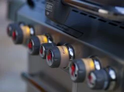 Barbacoa Weber Summit S-670 GBS Inox. 21 Barbacoa Weber Summit S-670 GBS Inox. -Weber Tienda de ventas WEBER Graz 0216