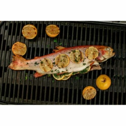 Weber Traveler Negra -Weber Tienda de ventas Weber Traveler Negra 17